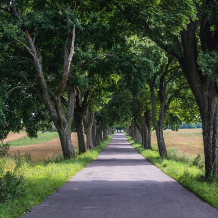 Ermländische Landschaftsroute 